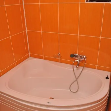 Guest house Brancoveneasca 3*
